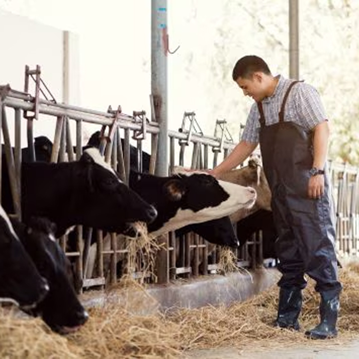 Egypt's Trusted Partner in Animal & Human Health