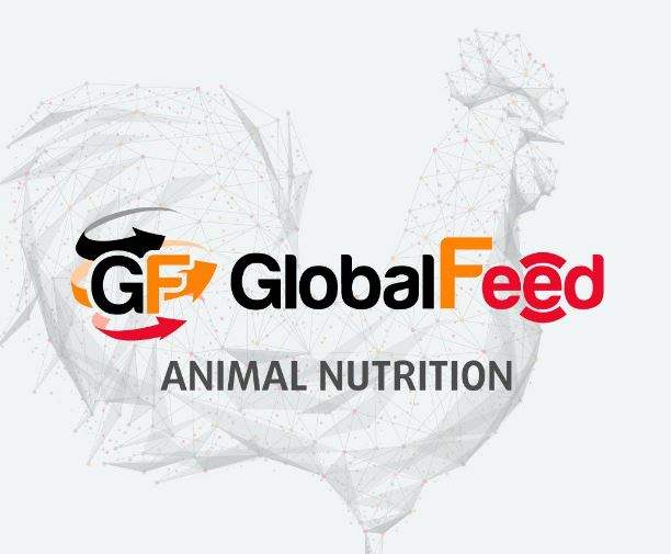 GlobalFeed