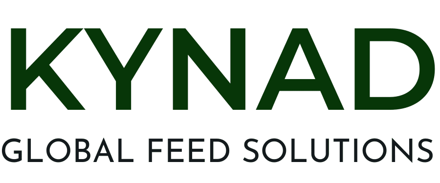 Kynad