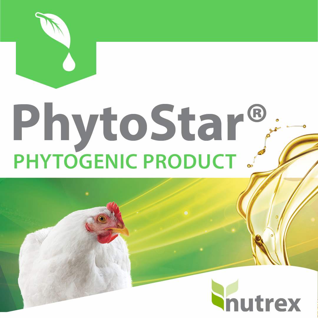 فايتو ستار اكسترا (Phytostar extra)