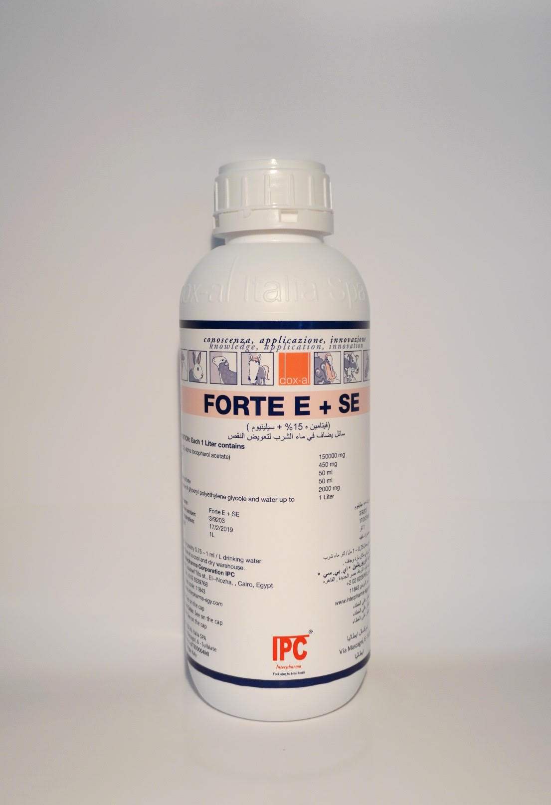 FORTE  E+SE